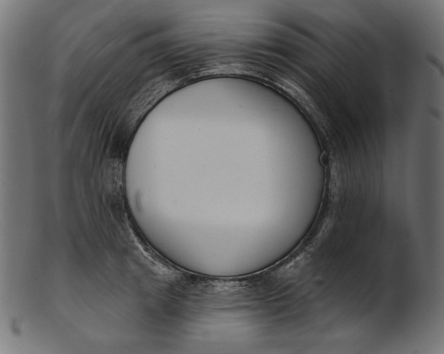 X0000103230849200809111528