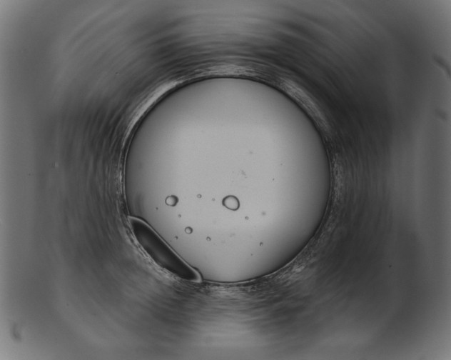 X0000103230852200809111528