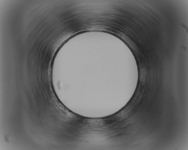 X0000103230856200809111528
