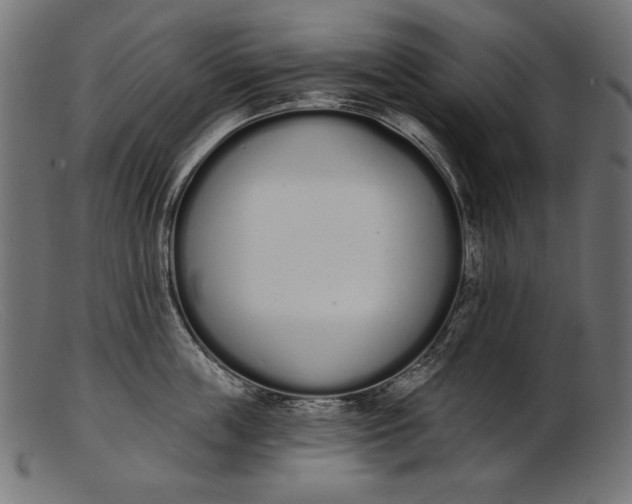 X0000103230859200809111528