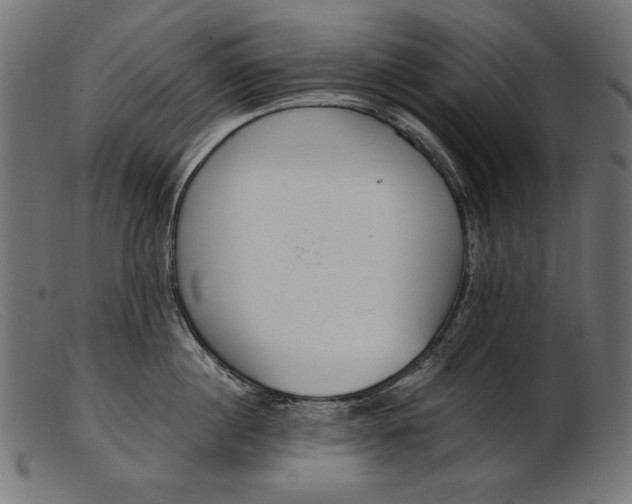 X0000103230860200809111528