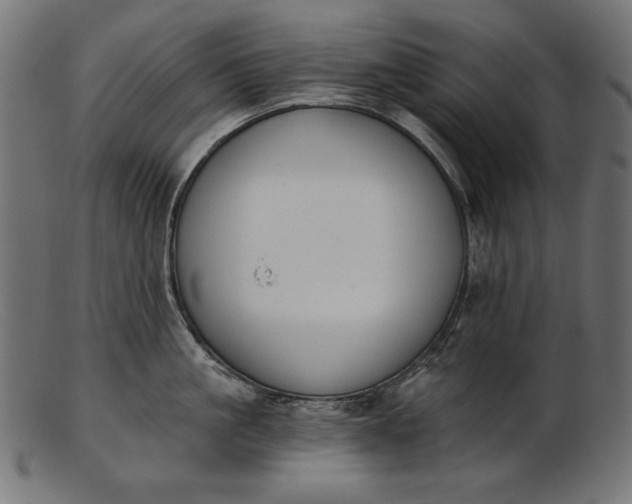 X0000103230861200809111528