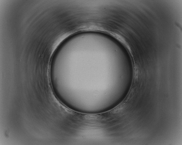 X0000103230863200809111528