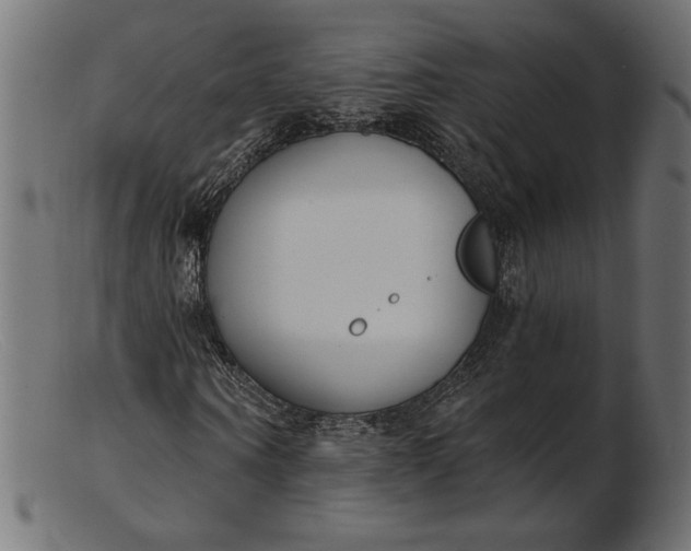 X0000103230866200809111528