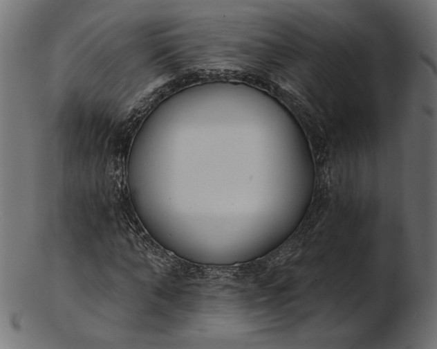 X0000103230870200809111528