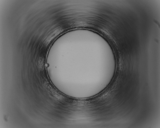 X0000103230873200809111528