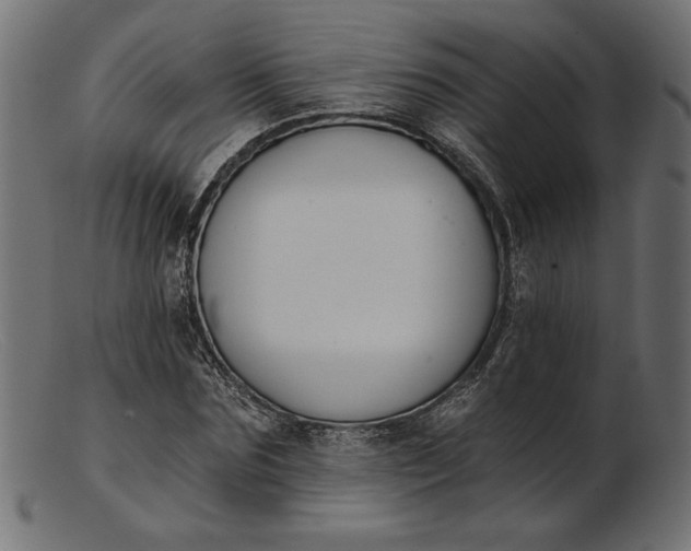 X0000103230875200809111528