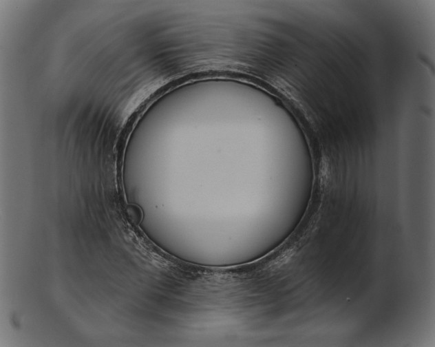 X0000103230877200809111528