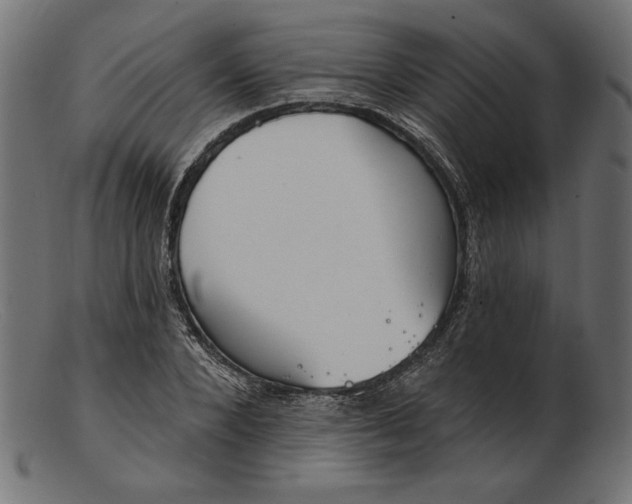 X0000103230880200809111528