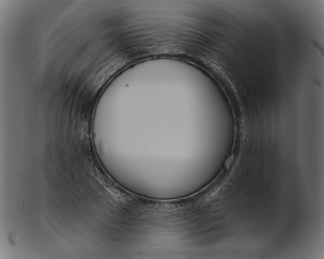 X0000103230881200809111527