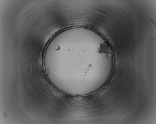 X0000103230883200809111527