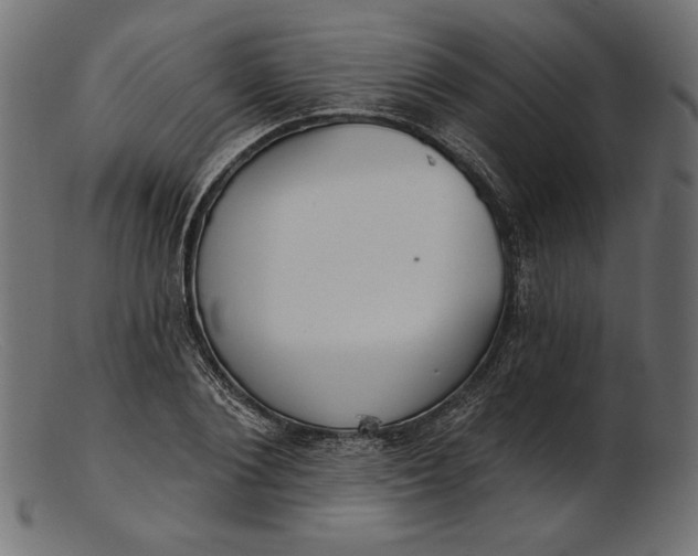 X0000103230884200809111527