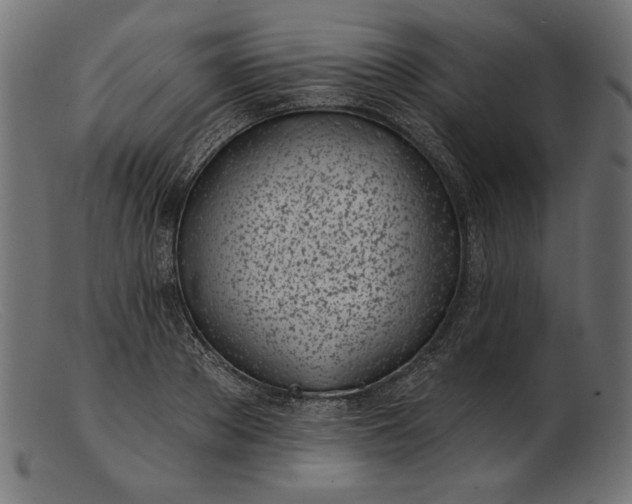 X0000103230889200809111527