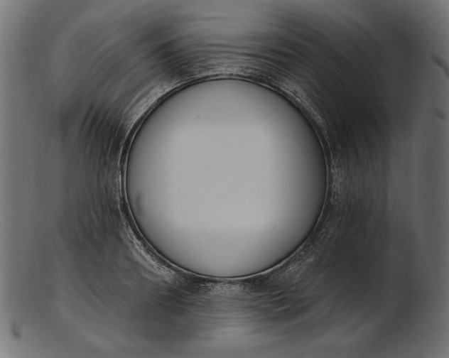 X0000103230890200809111527