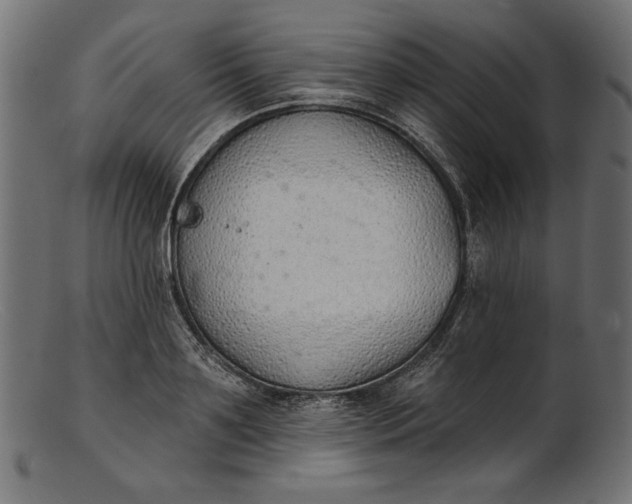 X0000103230891200809111527