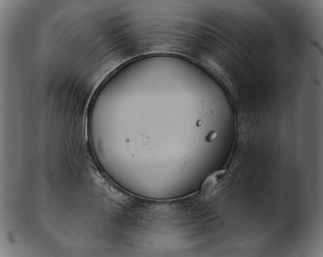 X0000103230892200809111527
