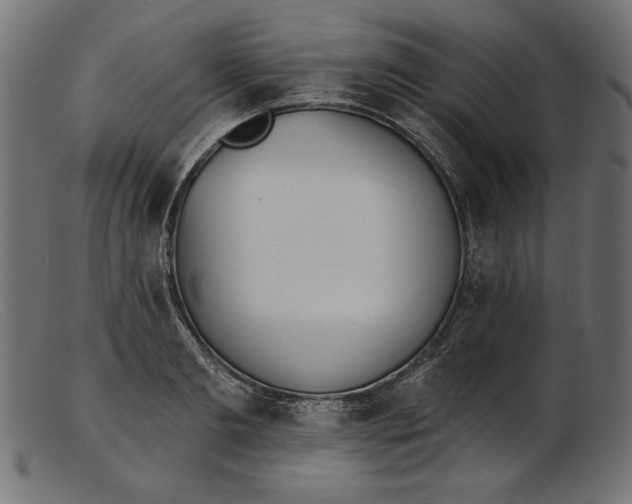 X0000103230893200809111527