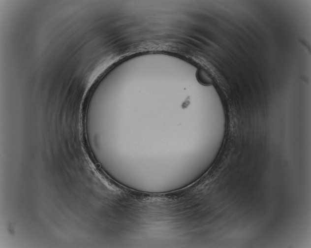 X0000103230894200809111527