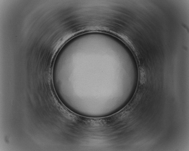 X0000103230895200809111527