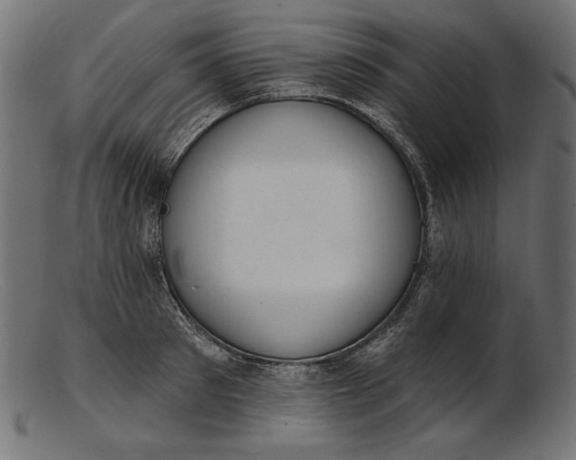 X0000103230897200809111527