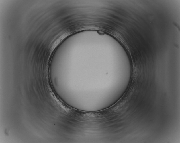 X0000103230898200809111527