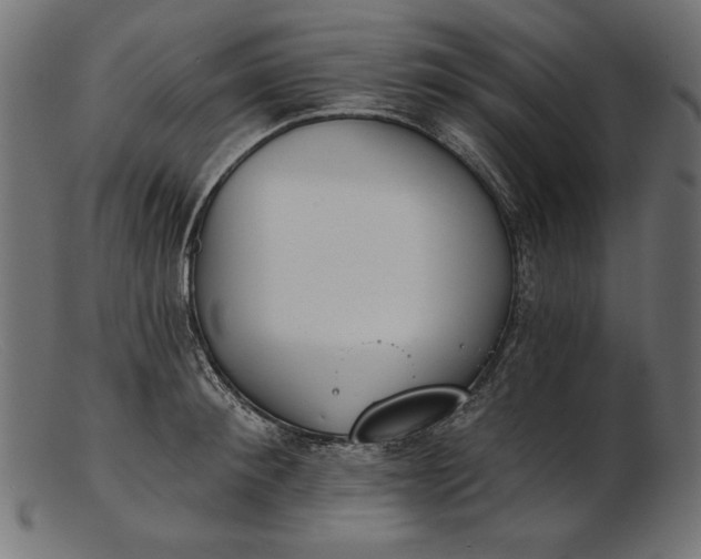 X0000103230900200809111527