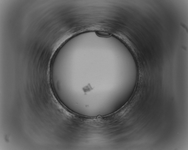 X0000103230902200809111527