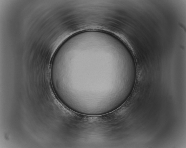 X0000103230903200809111527