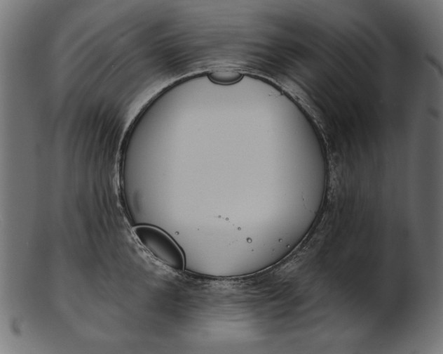 X0000103230904200809111527