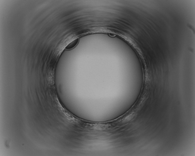 X0000103230905200809111527