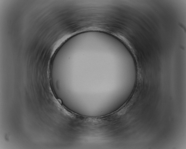 X0000103230910200809111527