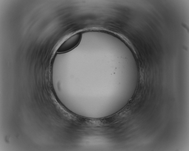 X0000103230911200809111527