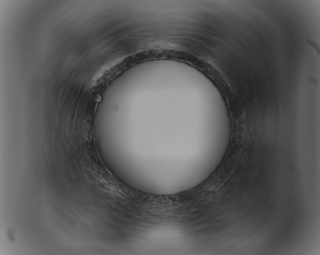 X0000103230919200809111526