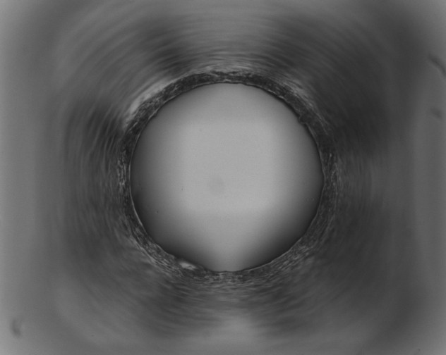 X0000103230920200809111526