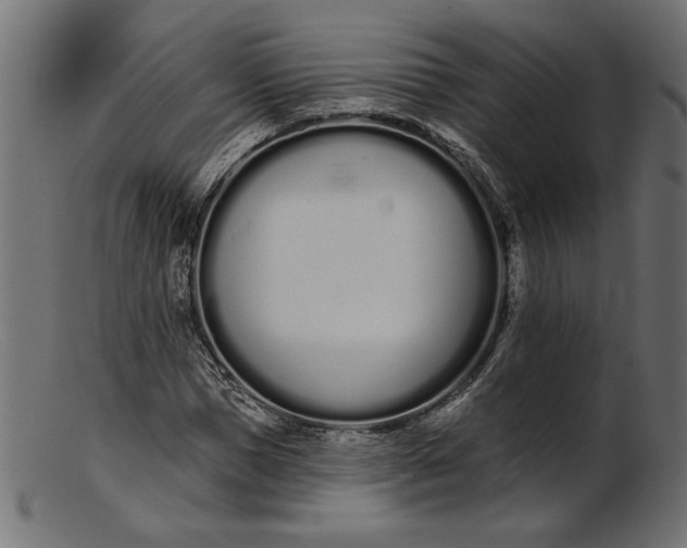 X0000103230921200809111526