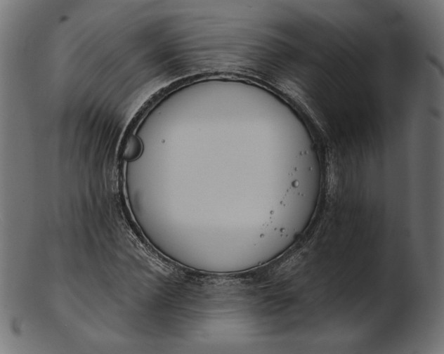 X0000103230924200809111526