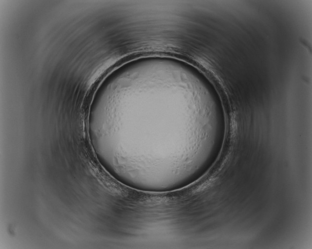 X0000103230925200809111527