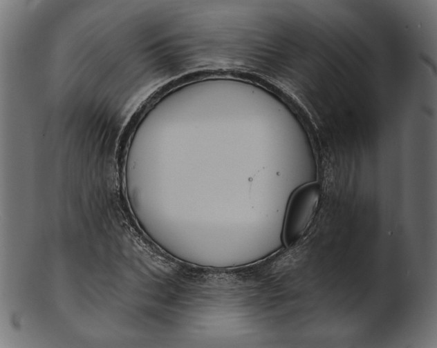X0000103230927200809111527