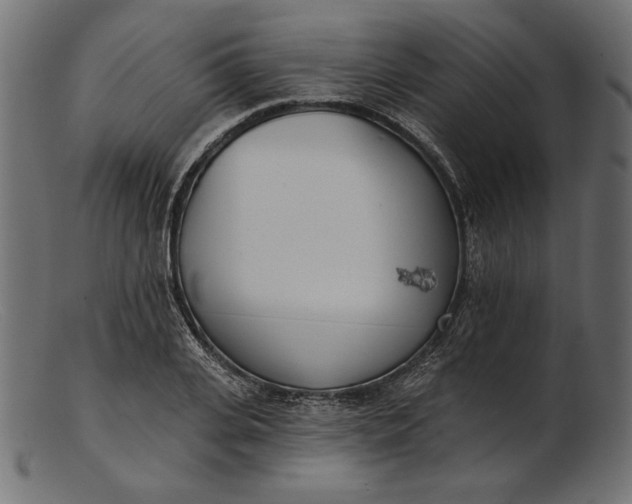 X0000103230935200809111527
