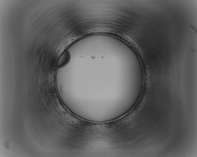 X0000103230937200809111527