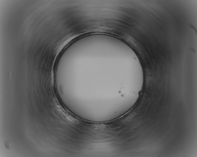 X0000103230940200809111527