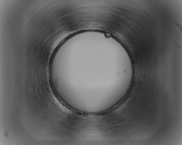 X0000103230942200809111527