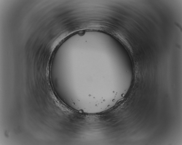 X0000103230944200809111527