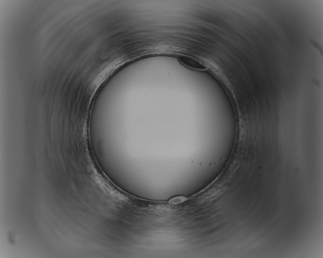 X0000103230946200809111527