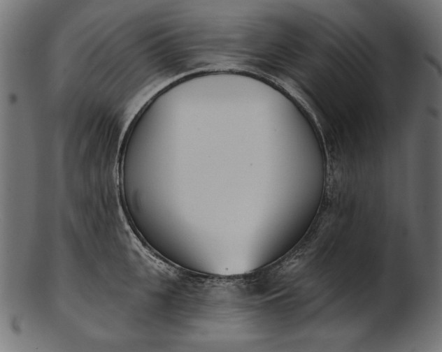 X0000103230951200809111527