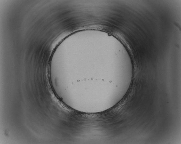 X0000103230952200809111527