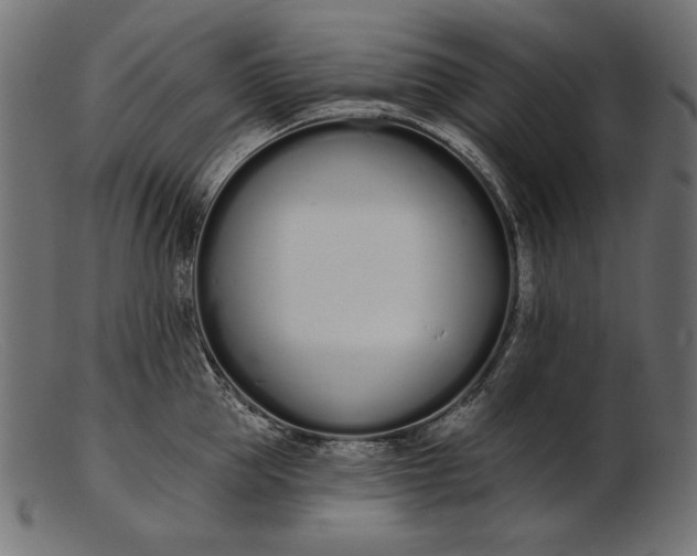 X0000103230953200809111527