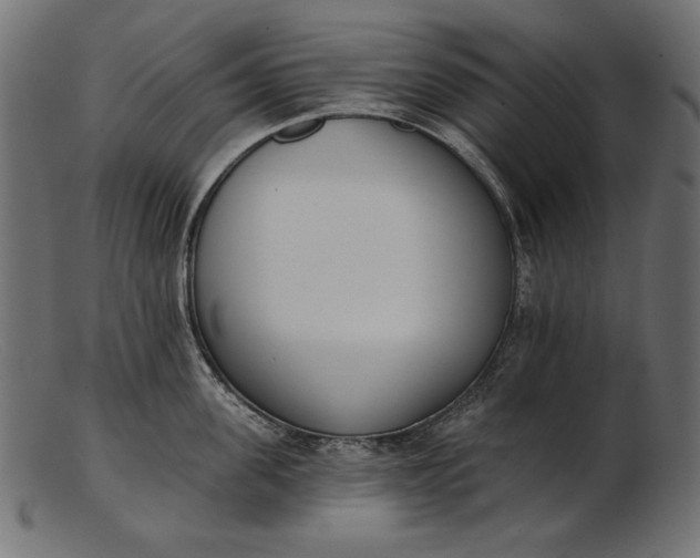 X0000103230955200809111527