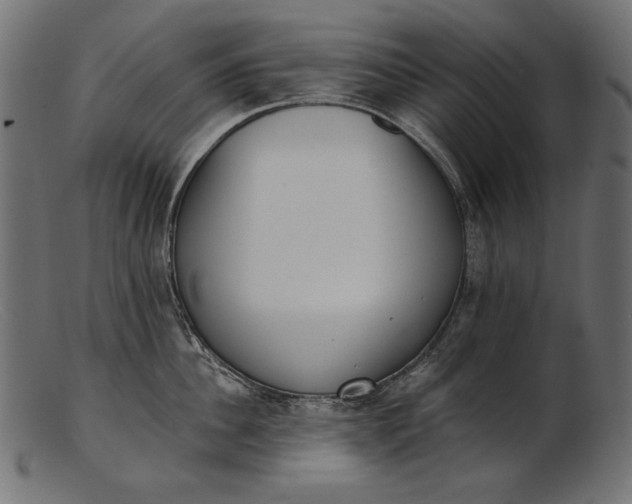 X0000103230956200809111527