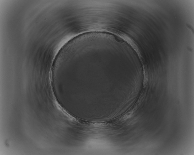 X0000103230958200809111527